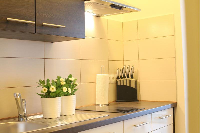 Apartamento Diefenbachgasse *